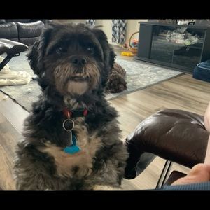 Meet your Posher, Robert